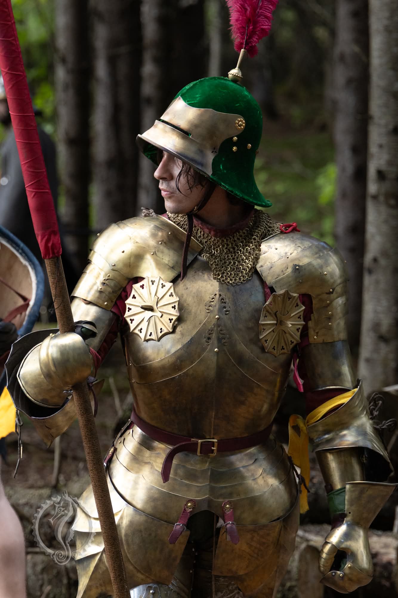Don Rhyas a'Rohan
