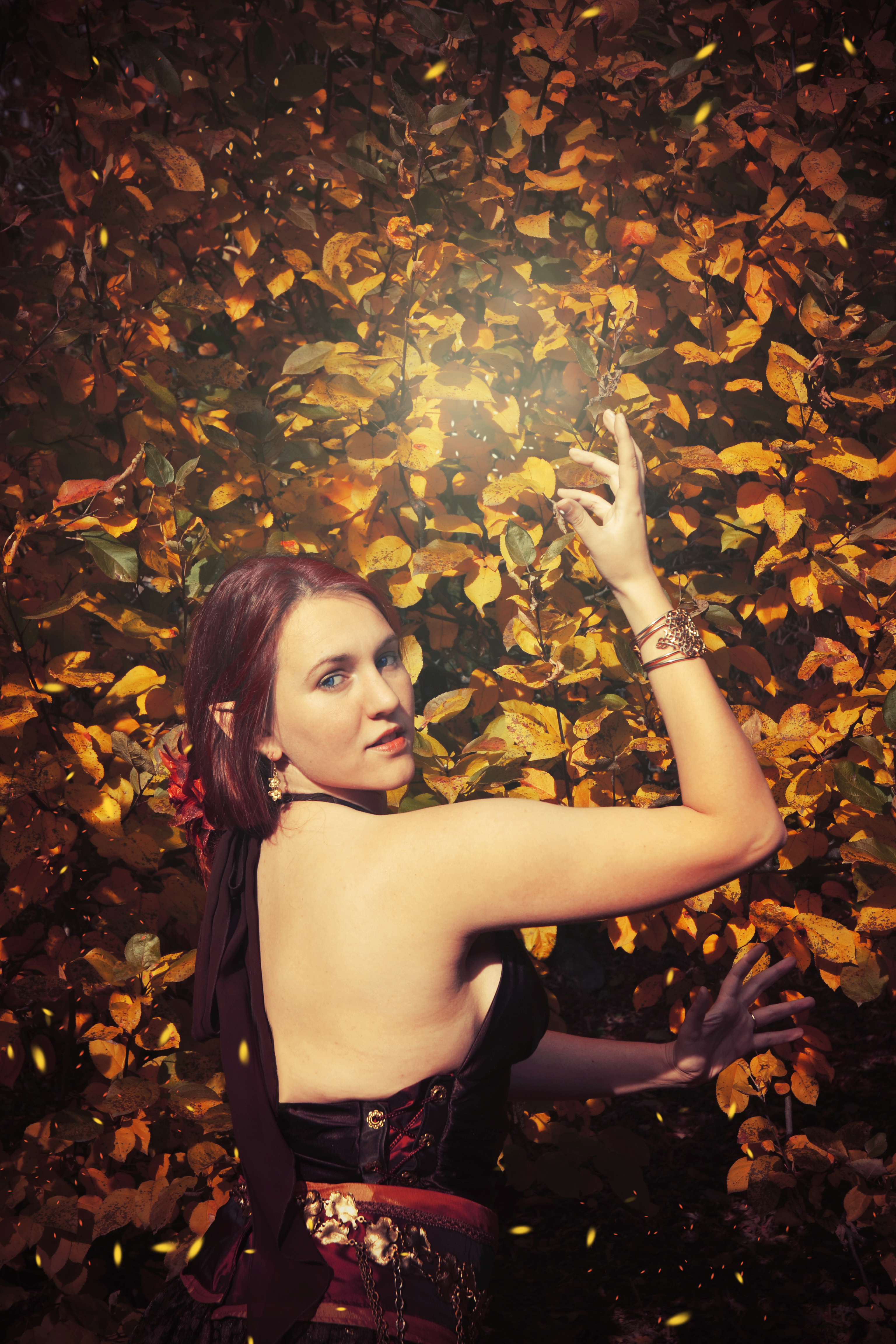 Miriel Falanyel