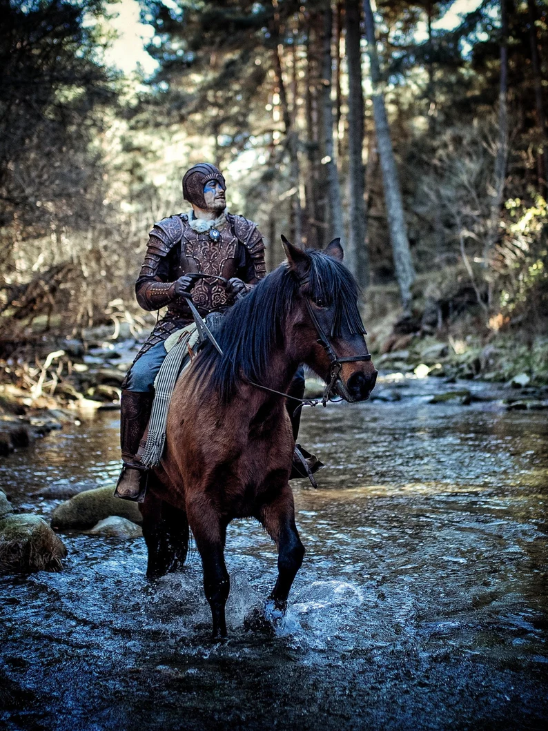 Aarda the Ronin