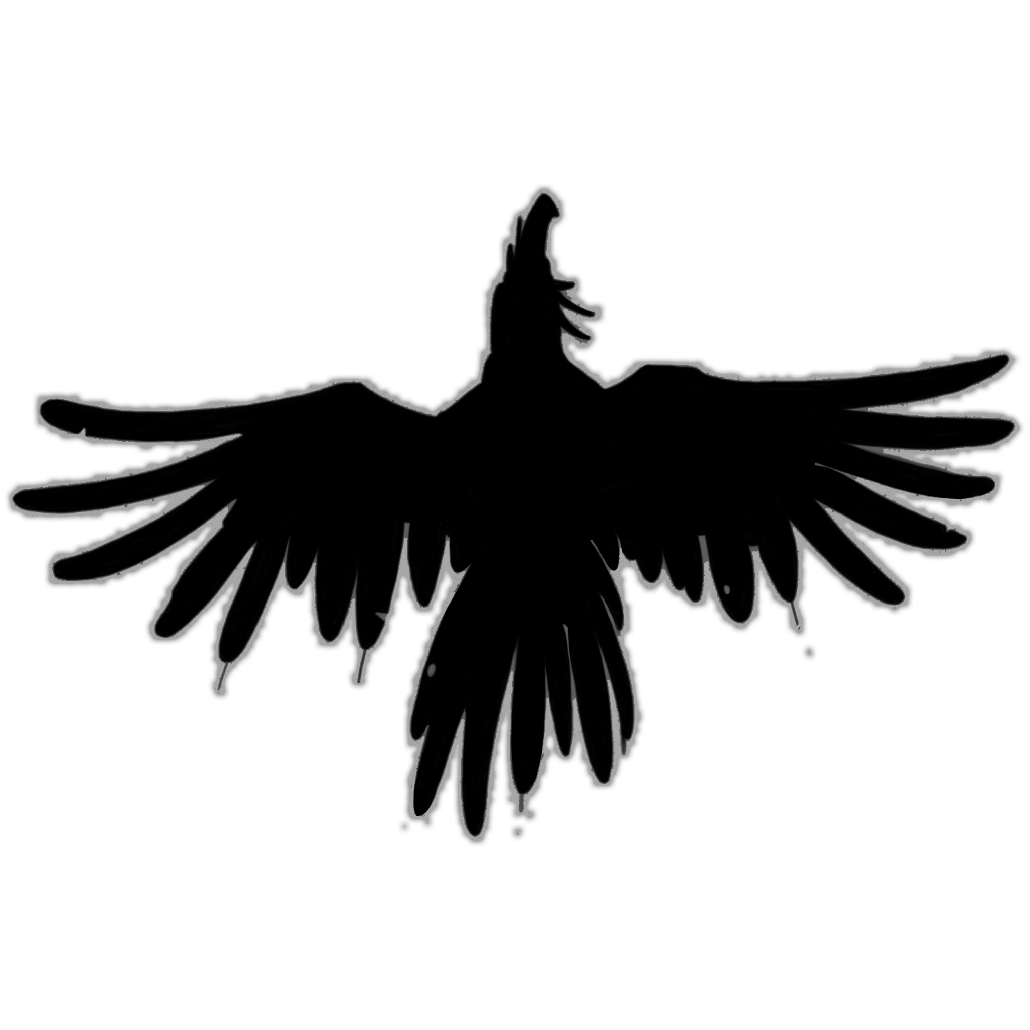 Grand Corbeau